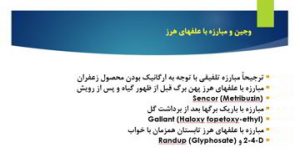 دانلود پاورپوینت فناوری تولید و فراوری زعفران در ایران