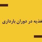 دانلود پاورپوینت تغذیه در دوران بارداری در ۱۰۵ اسلاید قابل ویرایش ⋆ فروشگاه فایل سیتیده